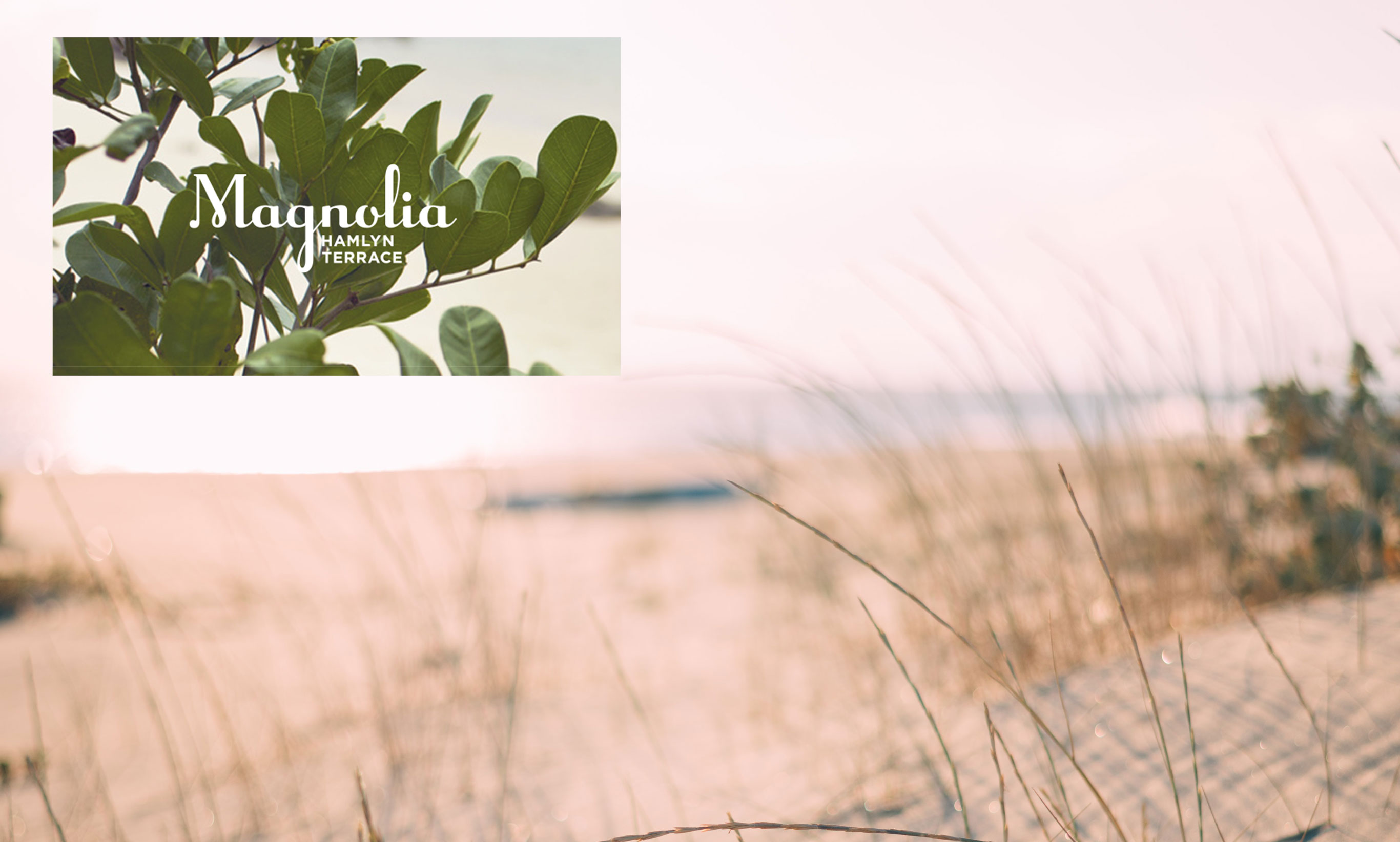 Magnolia Magnolia