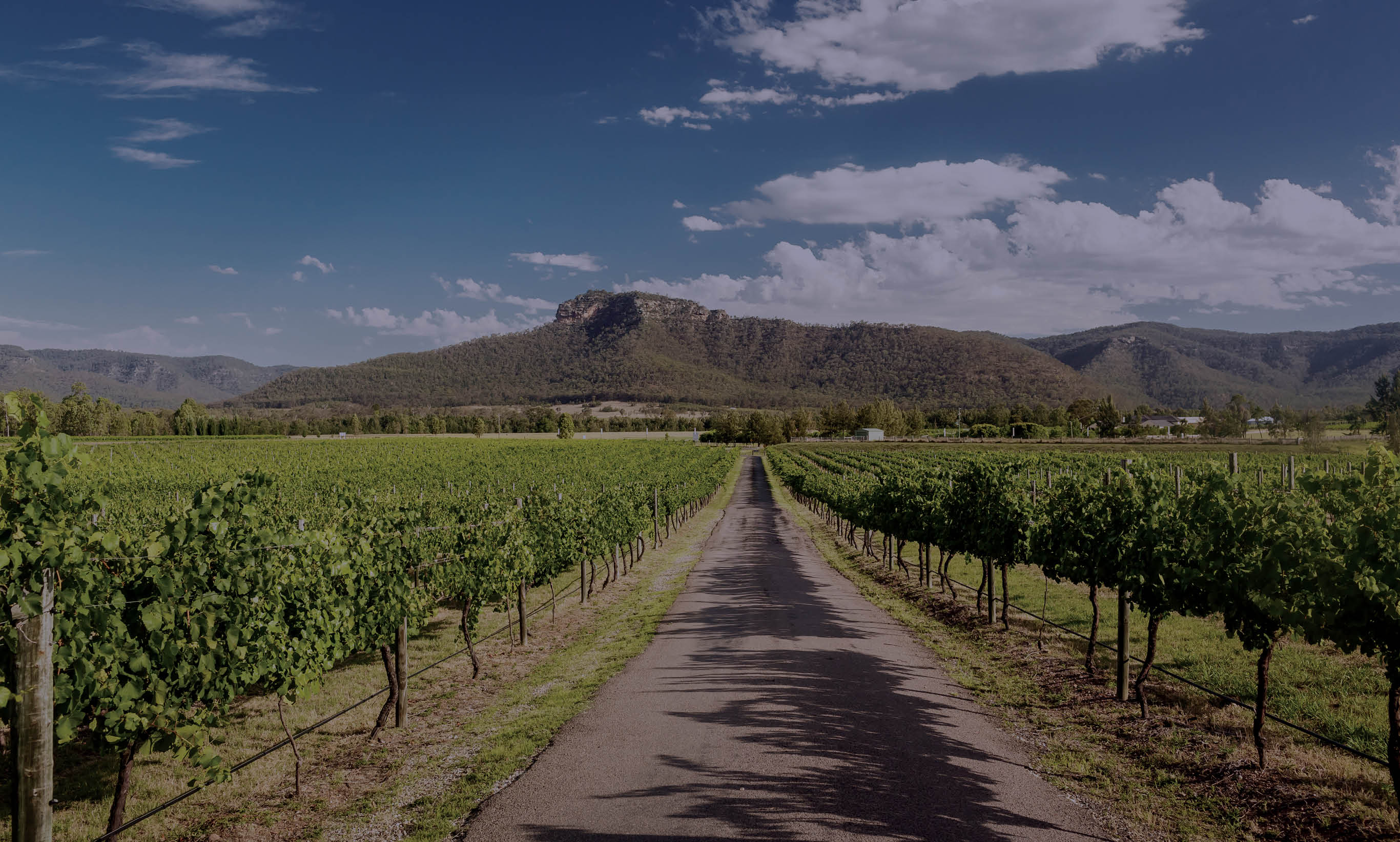 ch_newcastle_hunter_valley_land_page_header_2732x1644px.jpg