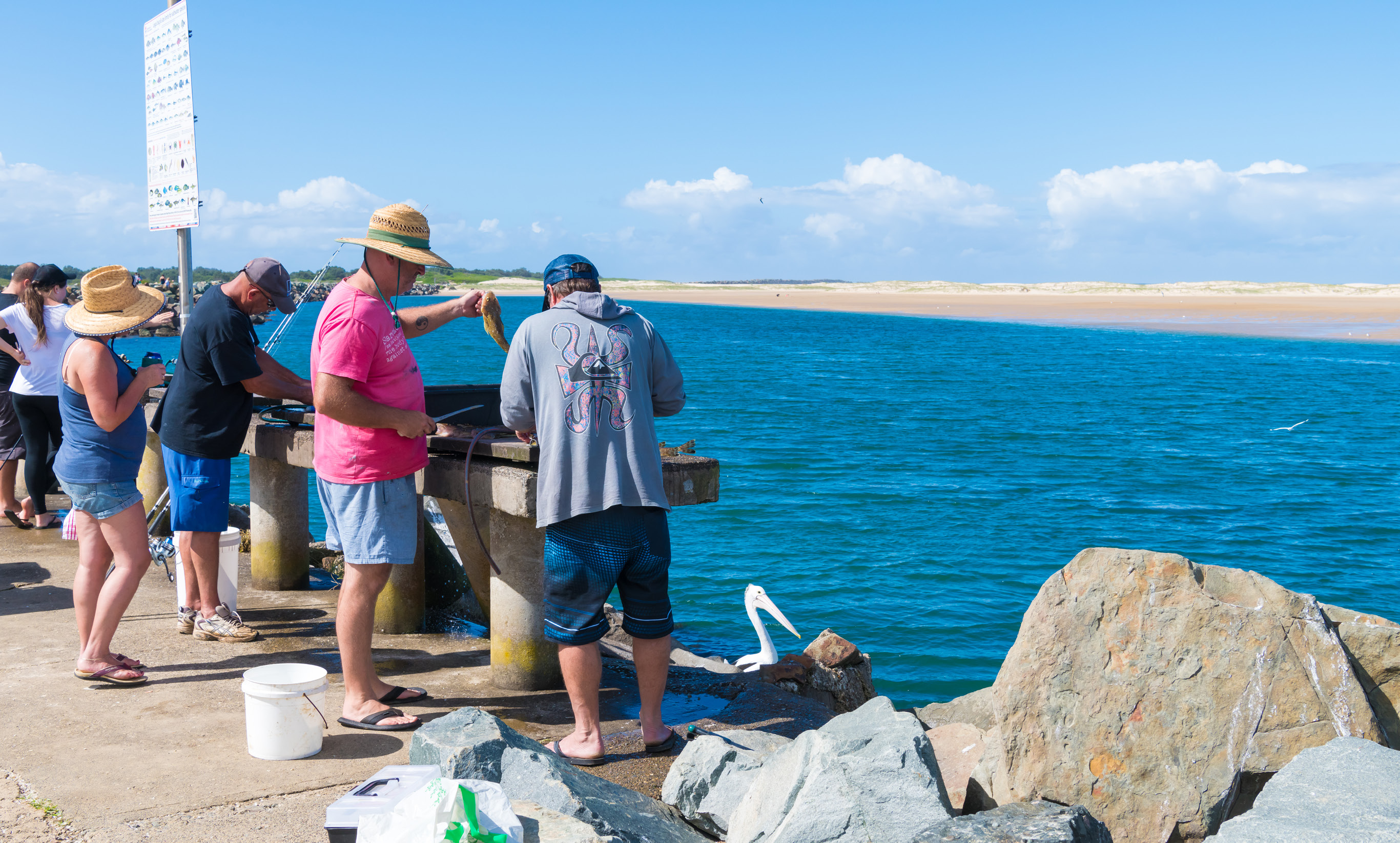 fisherman on breakwall cleaning fish in Harrington, NSW.