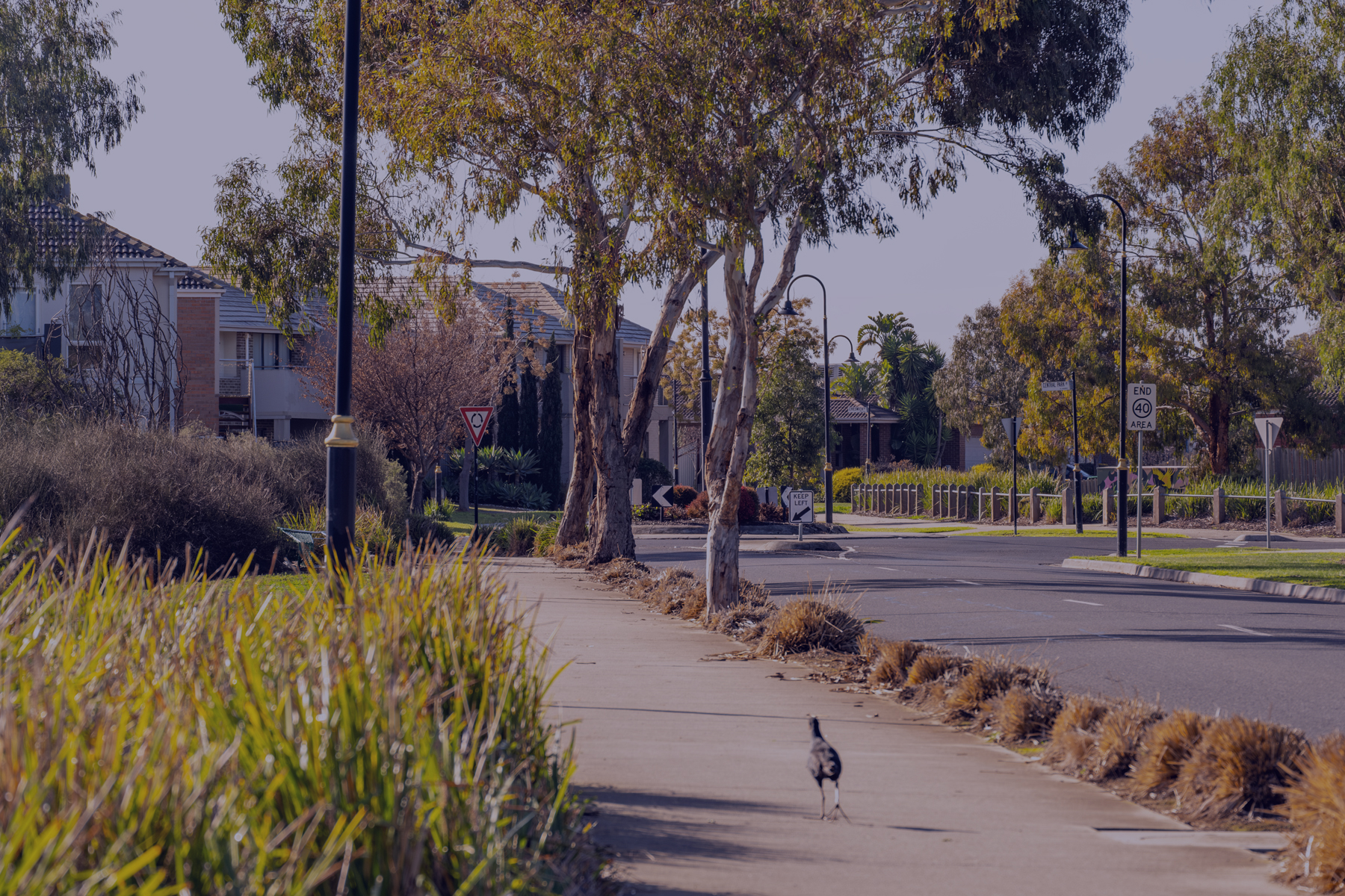 House & Land Packages South West Sydney